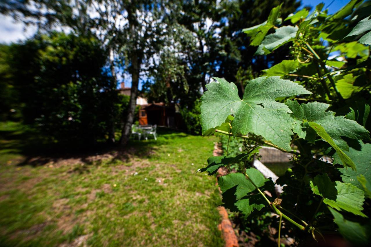 Ferienwohnung Mirguet Au Jardin Saint-Elix-le-Chateau Exterior foto