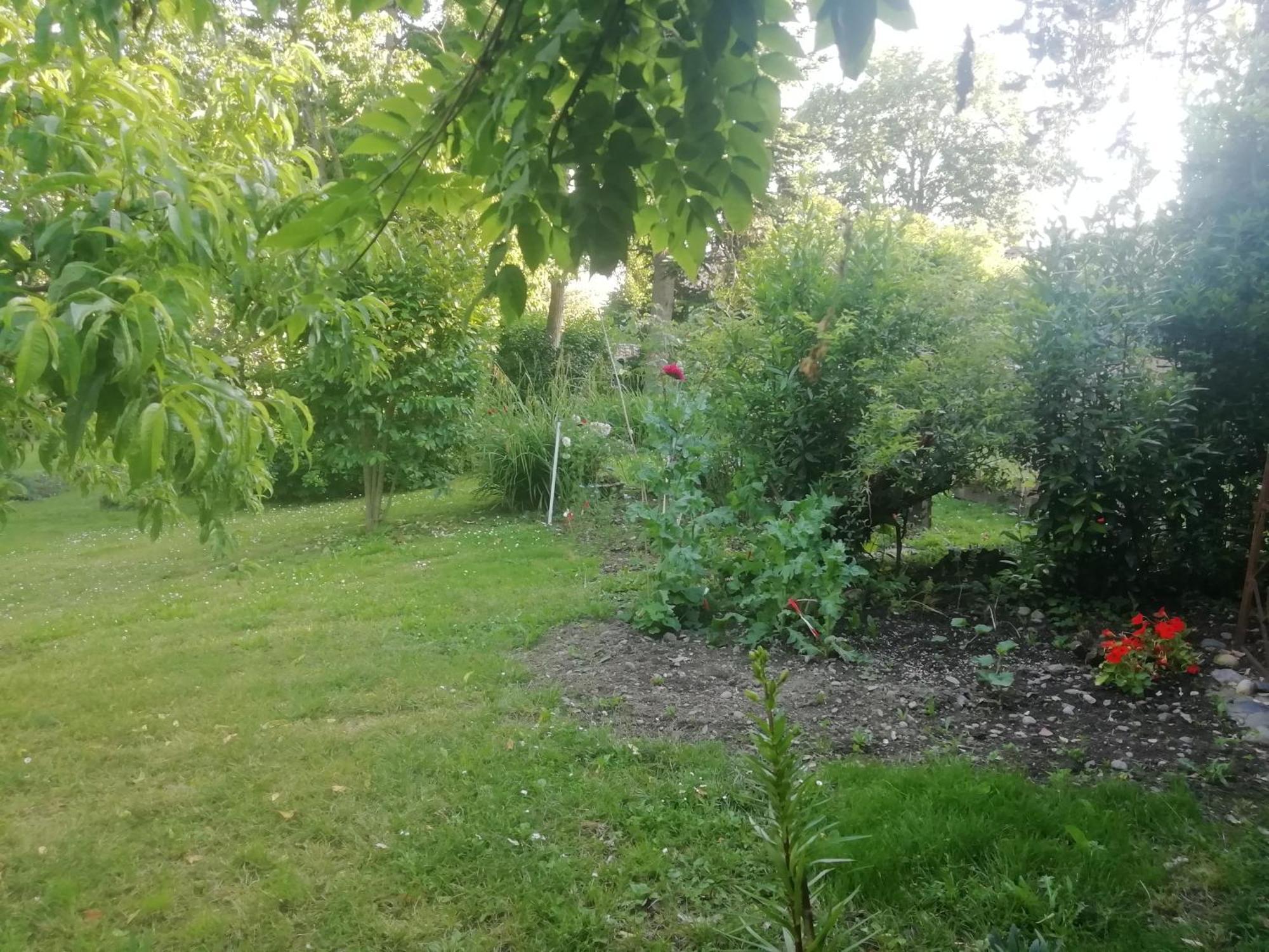 Ferienwohnung Mirguet Au Jardin Saint-Elix-le-Chateau Exterior foto